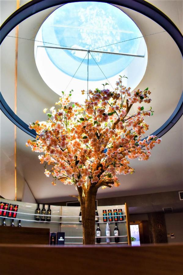 Paraiso Villas & Spa Guimarães Dış mekan fotoğraf